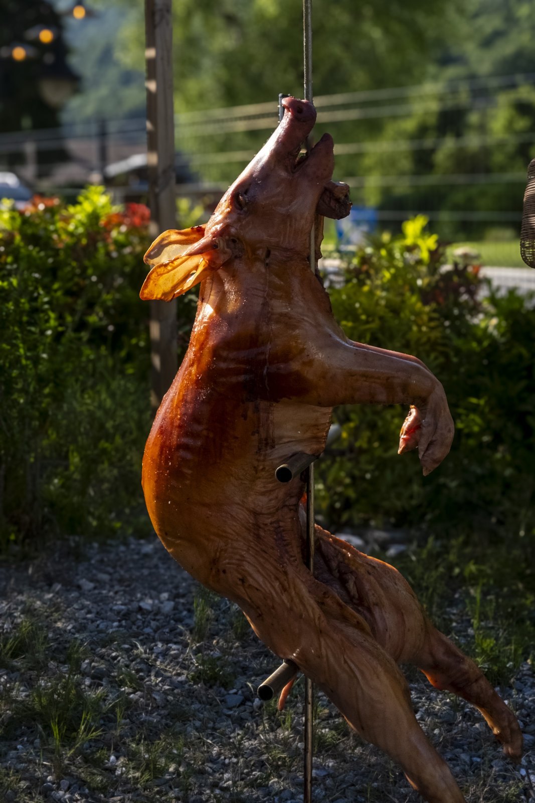 Cochon à la broche cuit sur la terrasse