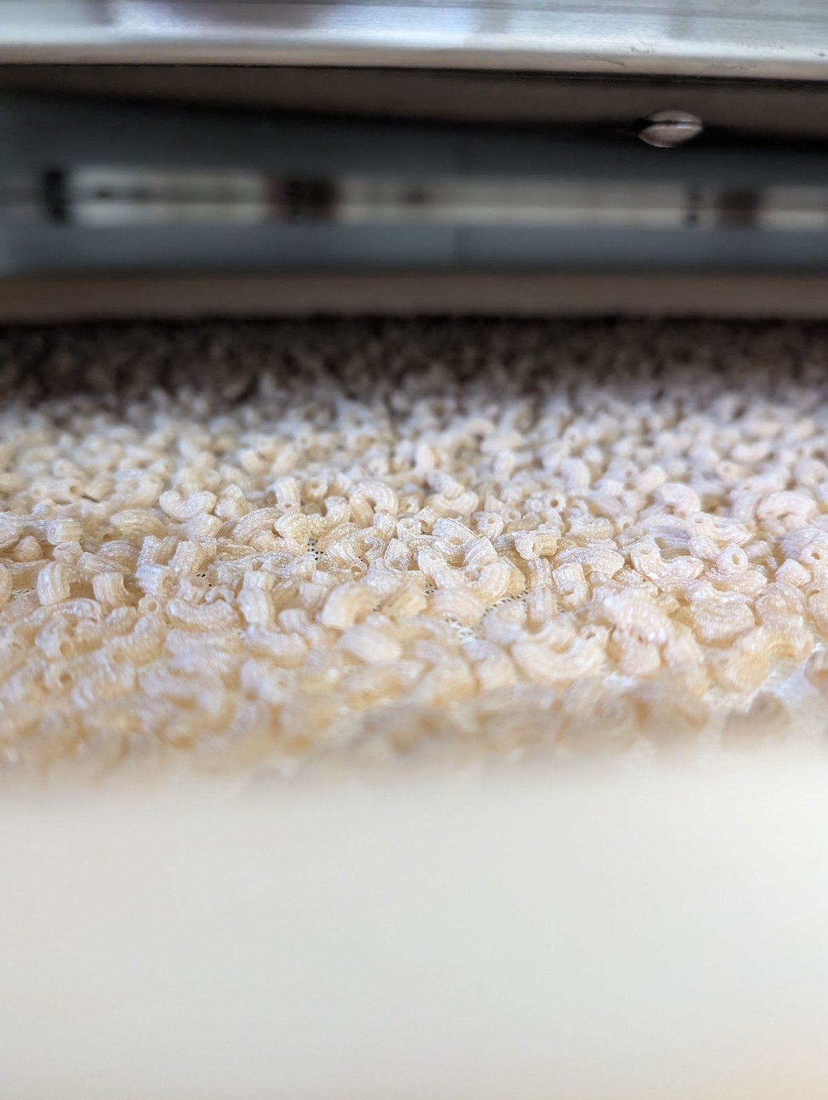 Pâtes sèches bio en train de sécher dans l'atelier Arvi'Pâtes à Verchaix